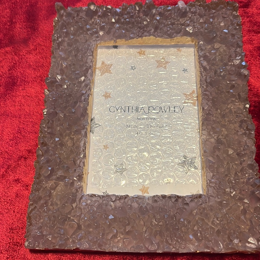 Cynthia Rowley 4x6 frame purple crusted light lavender with gold interior